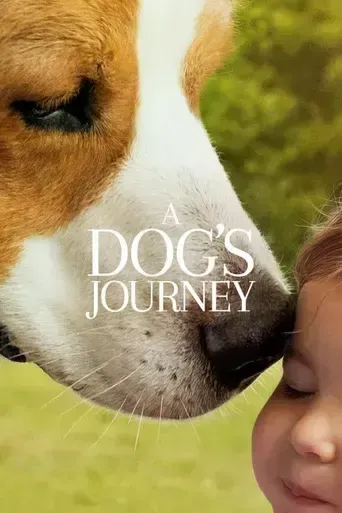 A Dog's Journey A Dog's Journey