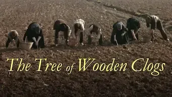 El árbol de los zuecos