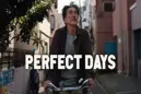 Perfect Days Perfect Days